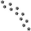 Lion paw print. Silhouette. Isolated paw prints on white background